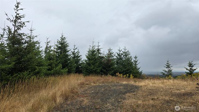 9207 Tract B Old Olympic Highway NW, Olympia, WA 98502