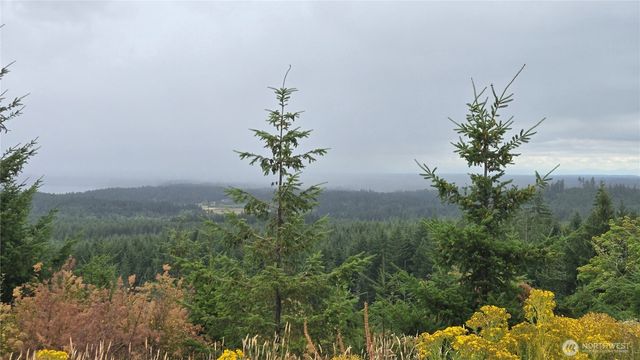 9207 Tract B Old Olympic Highway NW, Olympia, WA 98502