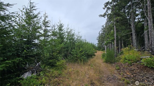 9207 Tract B Old Olympic Highway NW, Olympia, WA 98502