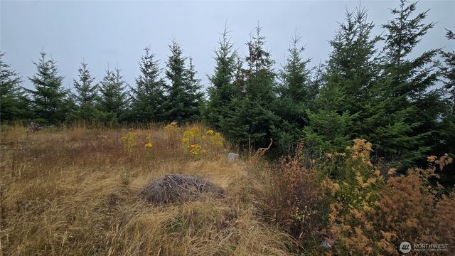 9207 Tract B Old Olympic Highway NW, Olympia, WA 98502