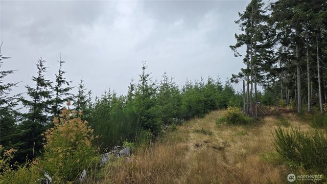 9207 Tract B Old Olympic Highway NW, Olympia, WA 98502