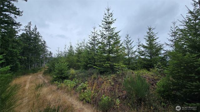 9207 Tract B Old Olympic Highway NW, Olympia, WA 98502