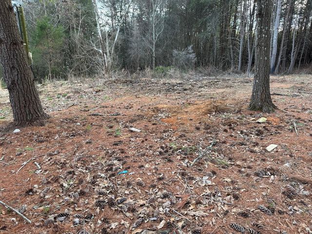 1285 Dyer Road, Evensville, TN 37332