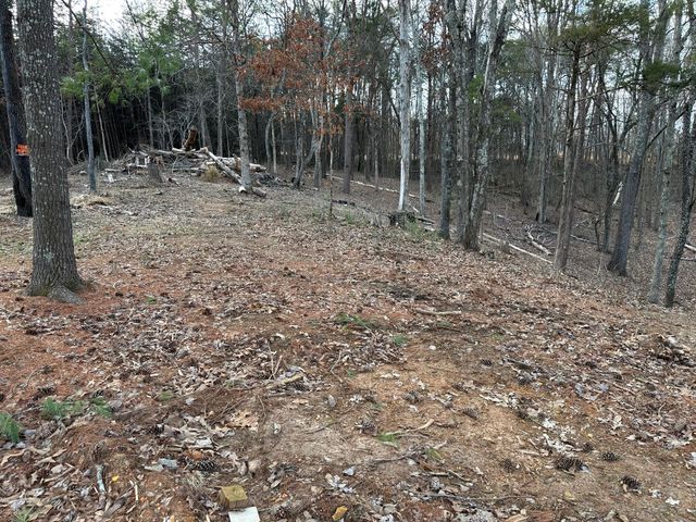 1285 Dyer Road, Evensville, TN 37332