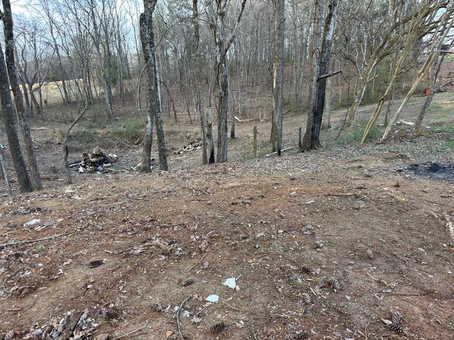 1285 Dyer Road, Evensville, TN 37332