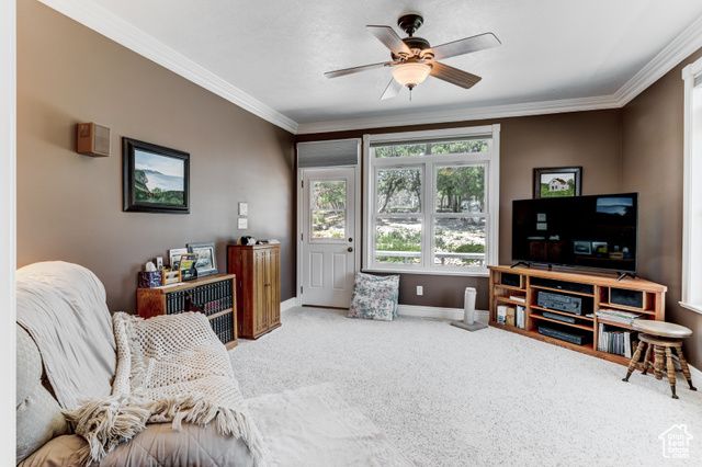 30455 N 11000 E, Fairview, UT 84629