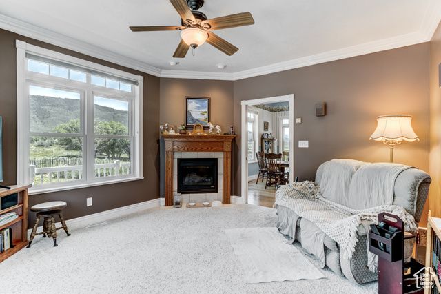 30455 N 11000 E, Fairview, UT 84629