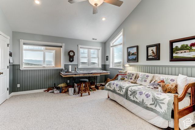 30455 N 11000 E, Fairview, UT 84629