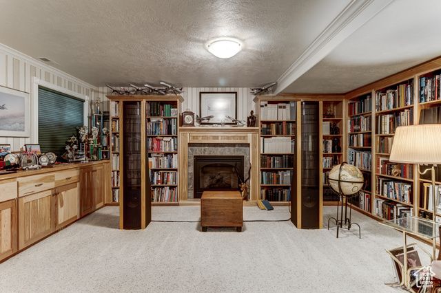 30455 N 11000 E, Fairview, UT 84629