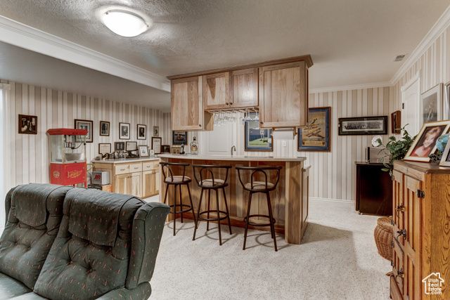 30455 N 11000 E, Fairview, UT 84629
