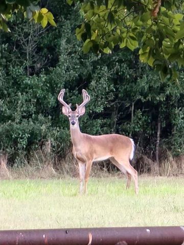 433 Wilderness Trail, Royse City, TX 75189