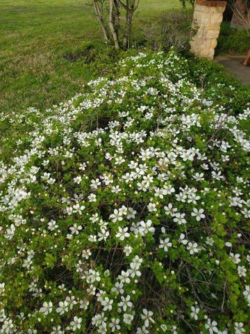 433 Wilderness Trail, Royse City, TX 75189