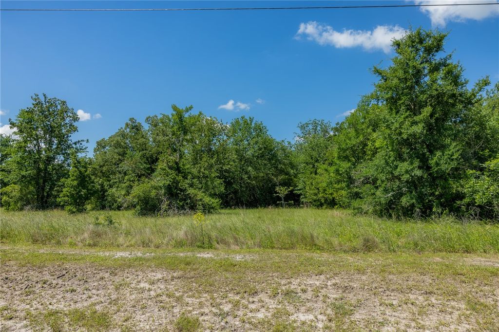 10677 Brushwood Cutoff, Bedias, TX 77831 — photo 2