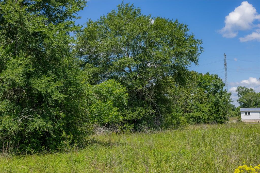 10677 Brushwood Cutoff, Bedias, TX 77831 — photo 3