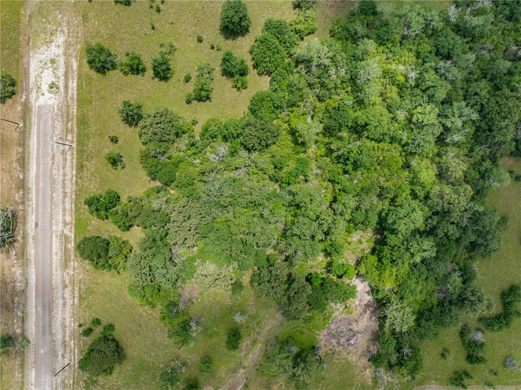 10677 Brushwood Cutoff, Bedias, TX 77831 — photo 5