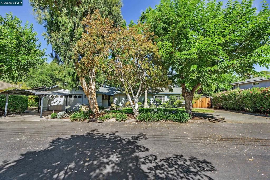 5230 Concord Blvd, Concord, CA 94521