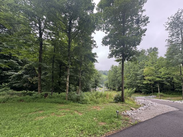 144 Hasty Dr, Lynchburg, TN 37352