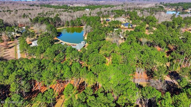 123 Lakeshire Cove, Canton, MS 39046