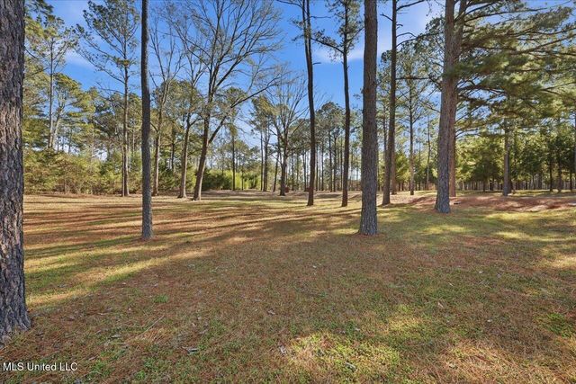 123 Lakeshire Cove, Canton, MS 39046