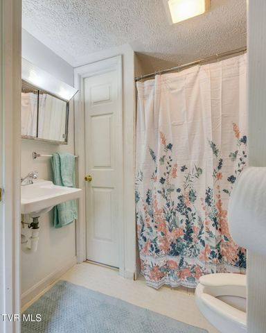 406 Fritz Street, Damascus, VA 24236