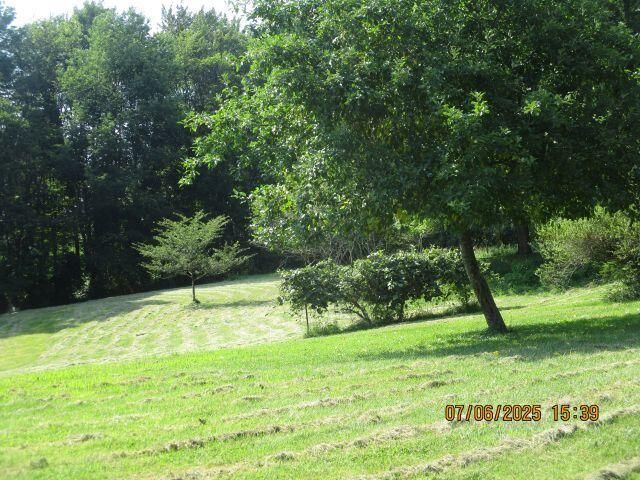 24366 Brown Road, South Bloomingville, OH 43152