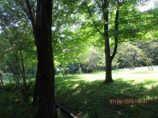 24366 Brown Road, South Bloomingville, OH 43152