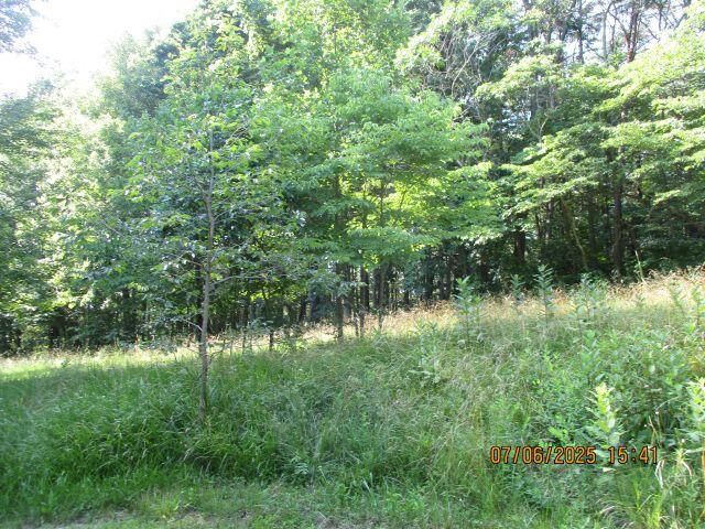 24366 Brown Road, South Bloomingville, OH 43152