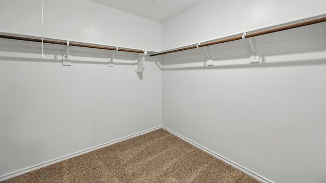 2900 Peppergrass Street, Royse City, TX 75189