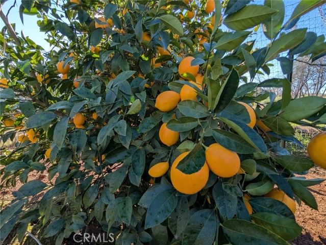 1658 Jaramillo, Paradise, CA 95969