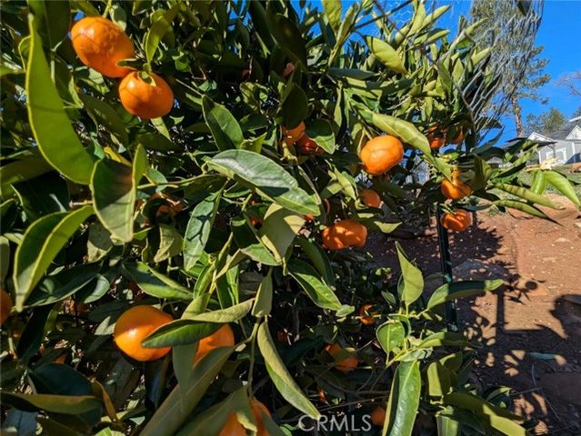 1658 Jaramillo, Paradise, CA 95969