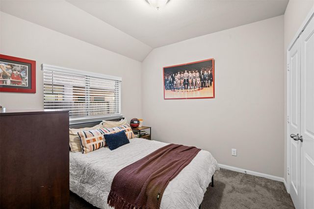 3707 Amoroso Drive, Iowa Colony, TX 77583