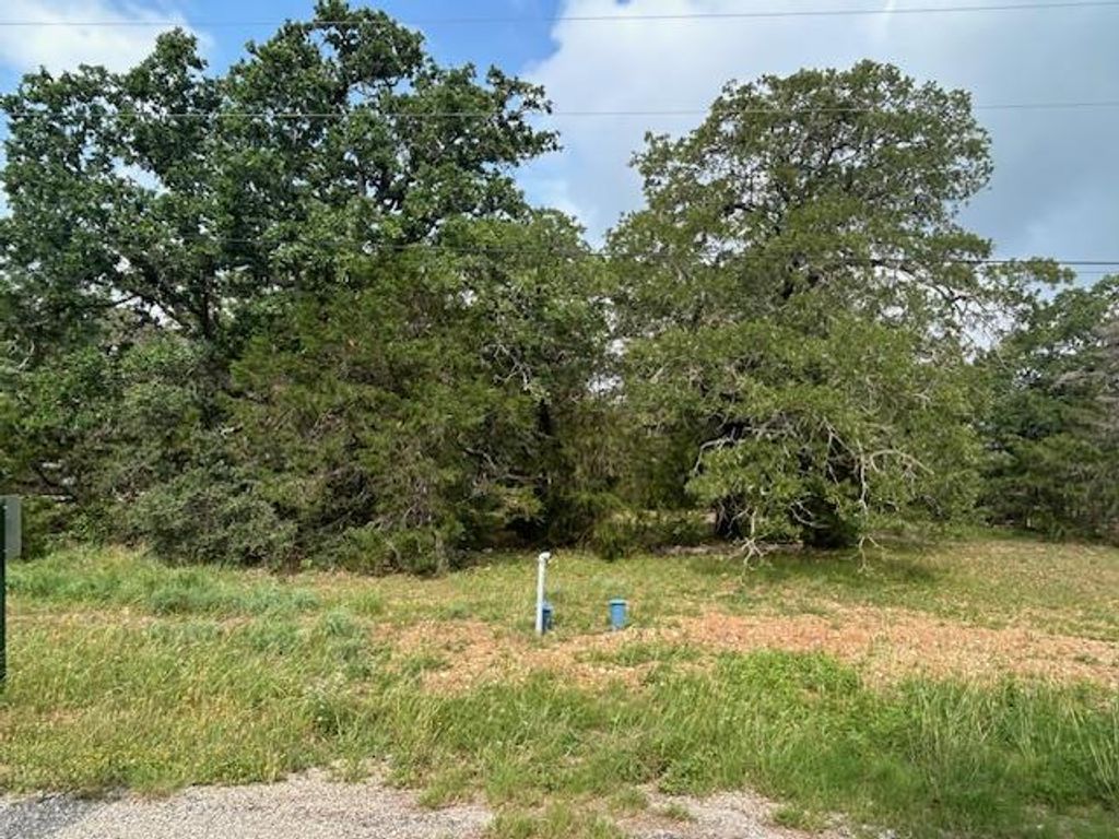 TBD Wigwam (Lots 87 & 88) ST, Smithville, TX 78957