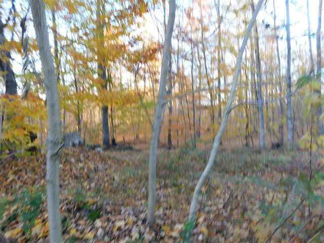 14638 Pleasanton Highway, Bear Lake, MI 49614