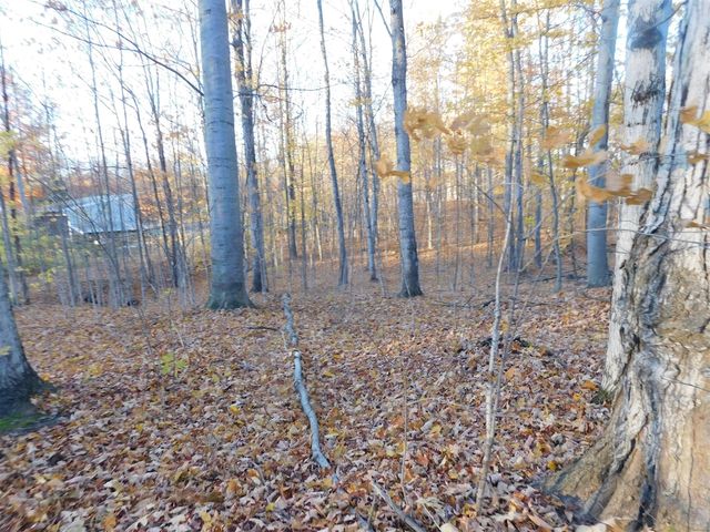 14638 Pleasanton Highway, Bear Lake, MI 49614