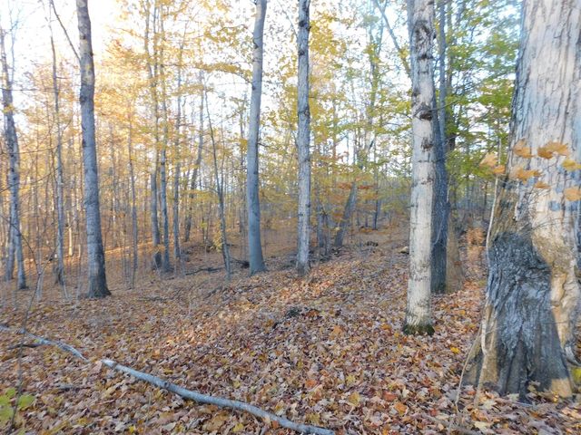 14638 Pleasanton Highway, Bear Lake, MI 49614