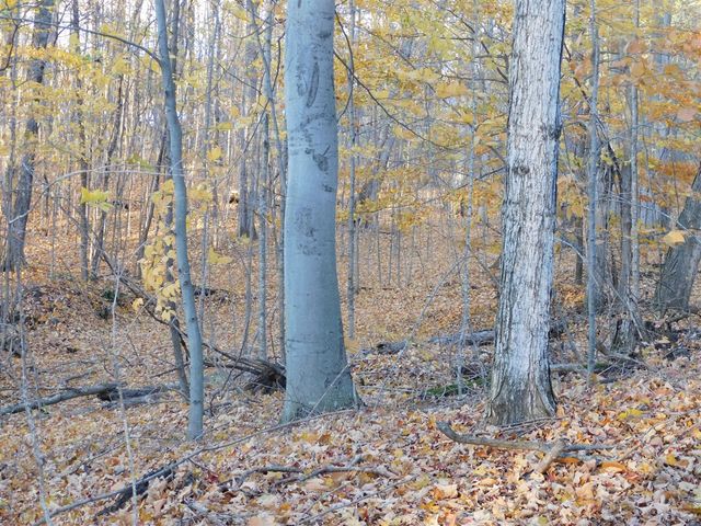 14638 Pleasanton Highway, Bear Lake, MI 49614