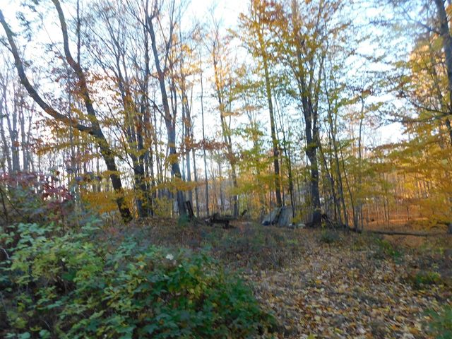 14638 Pleasanton Highway, Bear Lake, MI 49614