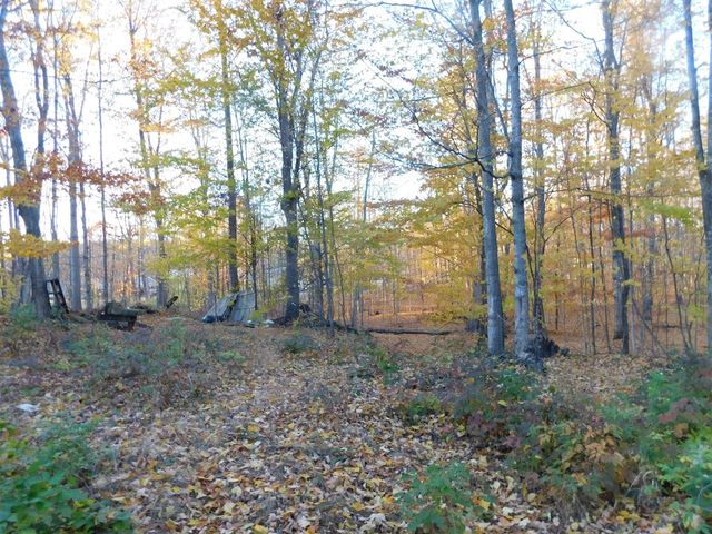 14638 Pleasanton Highway, Bear Lake, MI 49614