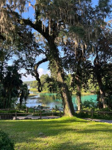 0000 SW Rainelle Road, Dunnellon, FL 34431