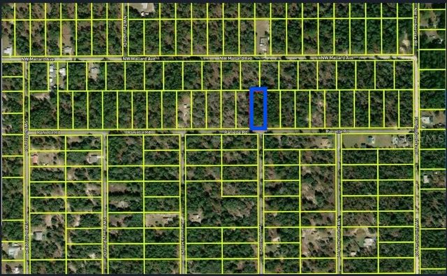 0000 SW Rainelle Road, Dunnellon, FL 34431