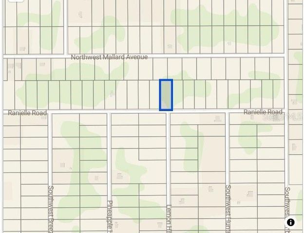 0000 SW Rainelle Road, Dunnellon, FL 34431