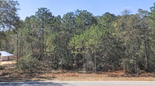 0000 SW Rainelle Road, Dunnellon, FL 34431