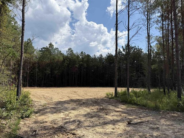 Lot 11 Honey Grove, Livingston, LA 70754