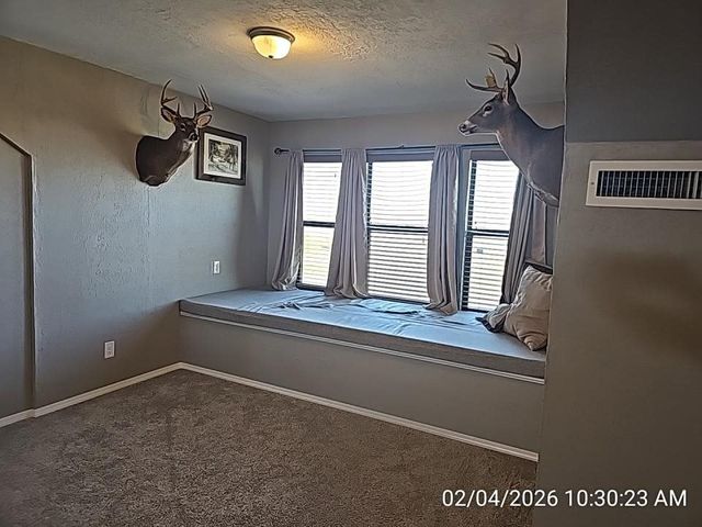 10123 NE 120th St, Elgin, OK 73538