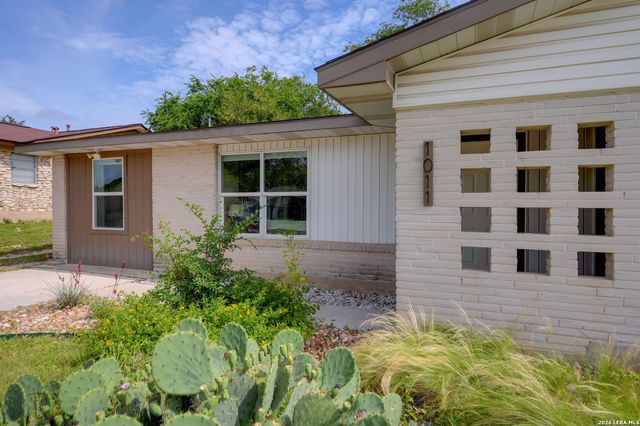 1011 MOREY PEAK DR, San Antonio, TX 78213