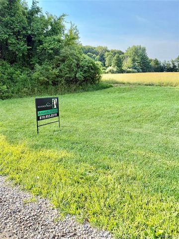0070102220 Meadow Lane, Dryden, MI 48428