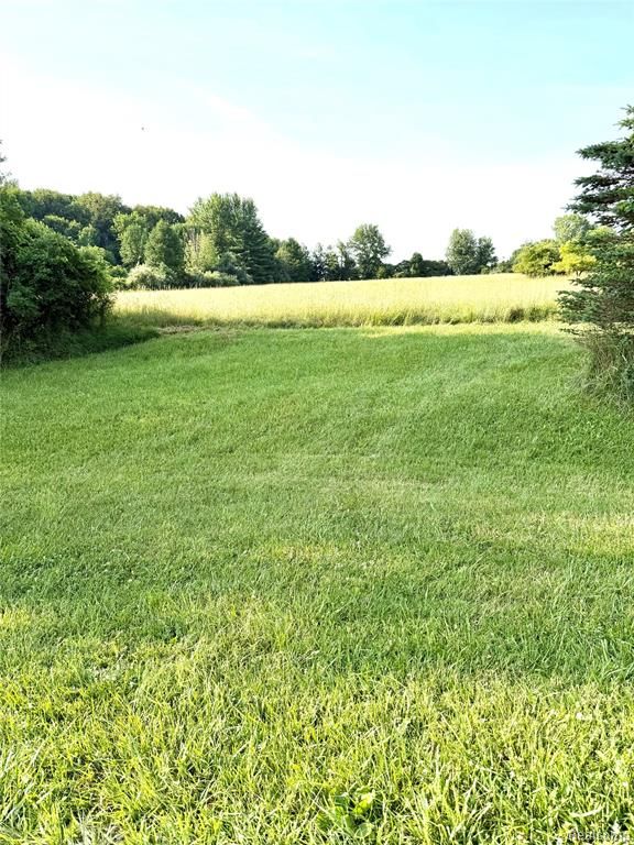 0070102220 Meadow Lane, Dryden, MI 48428