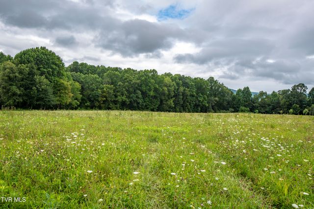 4.15ac Tn-133, Shady Valley, TN 37688