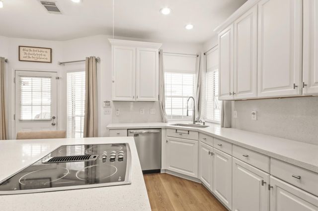 20514 Cannaberry Way, Spring, TX 77388