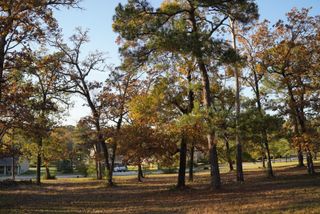 26 Hillsborough Drive, Huntsville, TX 77340